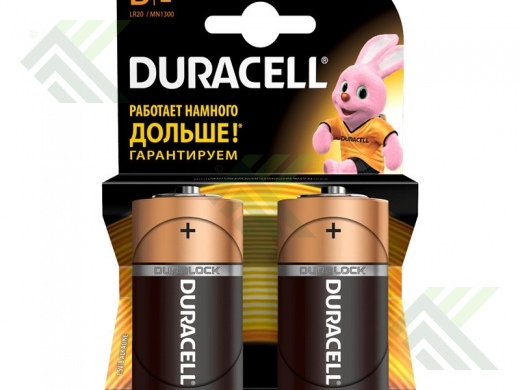 Элемент питания Duracell R20