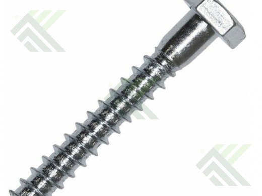 Глухарь  6x40