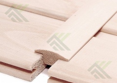 Грибок осина