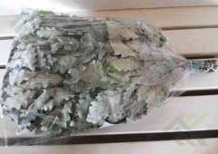 Веник банный, эвкалиптовый  (в инд. упак.)